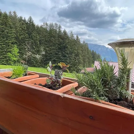Praschberg Holiday home Niederndorferberg