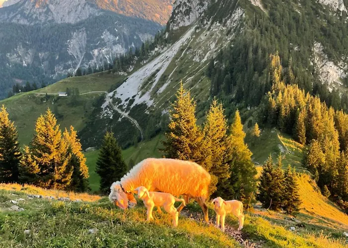Praschberg Niederndorferberg